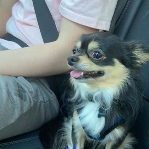 Meet your Posher, Ben